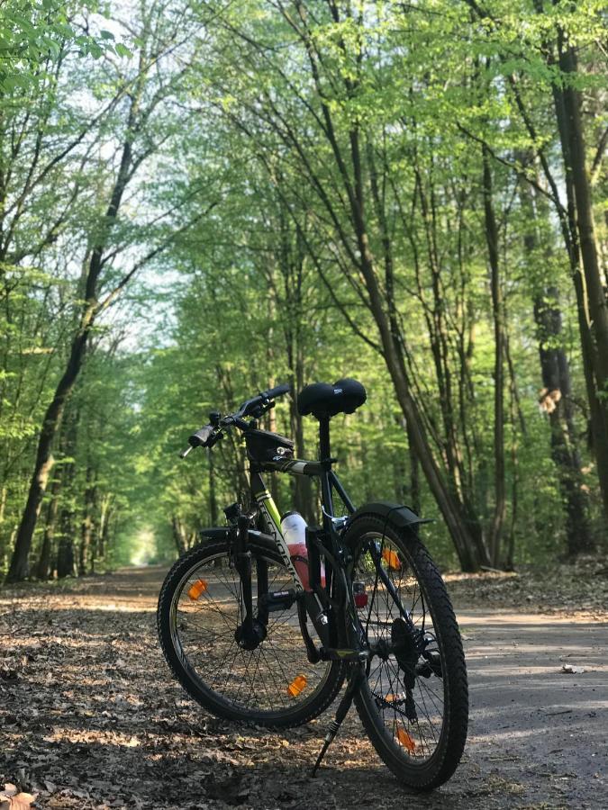 "Casa20200" 2 X Apartments Je 150Qm Fuer Business, Familien, Gruppen, Handwerker 15Min Von Berlin, Erdbeerhof, Outlet B5, 5Min Vom See Falkensee !! 2 Apartment Each 150Qm For Business , Families 15Min From Berlin!! Exteriér fotografie